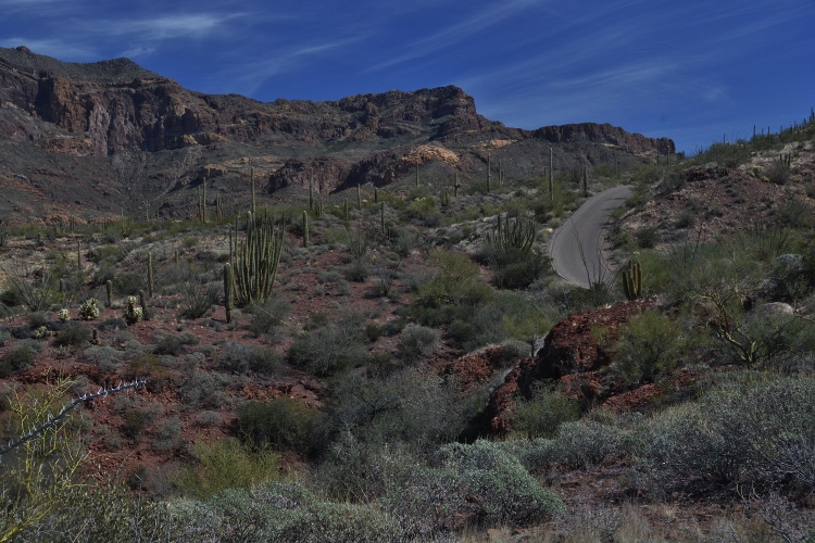 desert floor